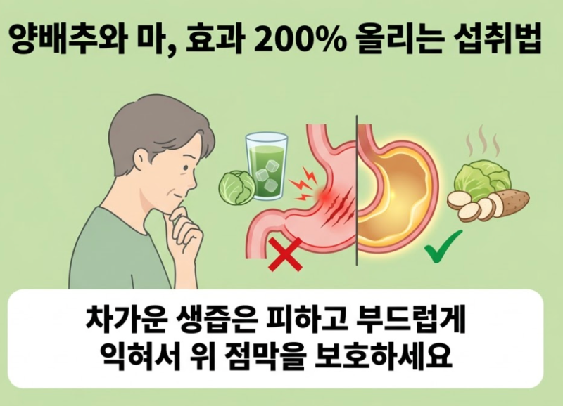 위축성 위염에 좋은 음식 : 양배추, 마 효과 200% 올리는 방법