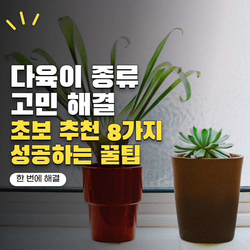 다육이 종류 너무 많아 고민이라면? 초보자가 키우기 쉬운 인기 다육식물 8가지
