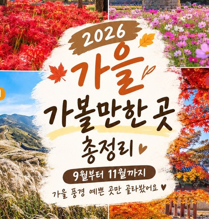 2026 경상도 가을 가볼만한 곳 총정리 9월부터 11월까지｜가을 단풍여행지 추천 월별 가볼만한....