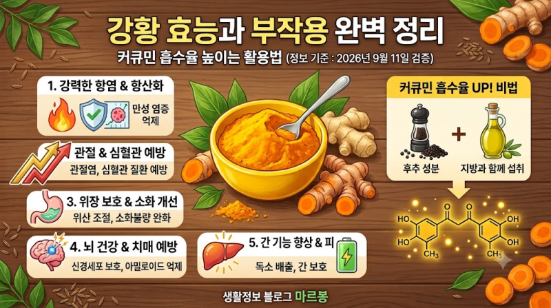 강황 효능과 부작용 완벽 정리: 커큐민 흡수율 높이는 활용법