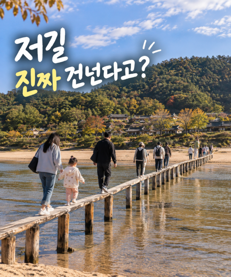 2026 영주 무섬외나무다리축제, 저길 진짜 건넌다고?