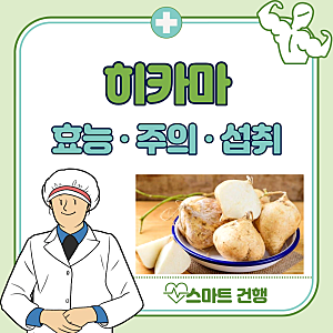 히카마 효능 5가지, 부작용, 먹는법 : 멕시코 감자