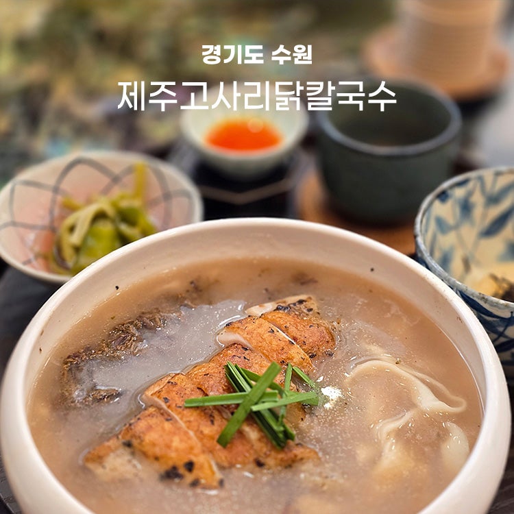 광교 점심 맛집 제주고사리닭칼국수 시콜, 직접 먹어본 후기