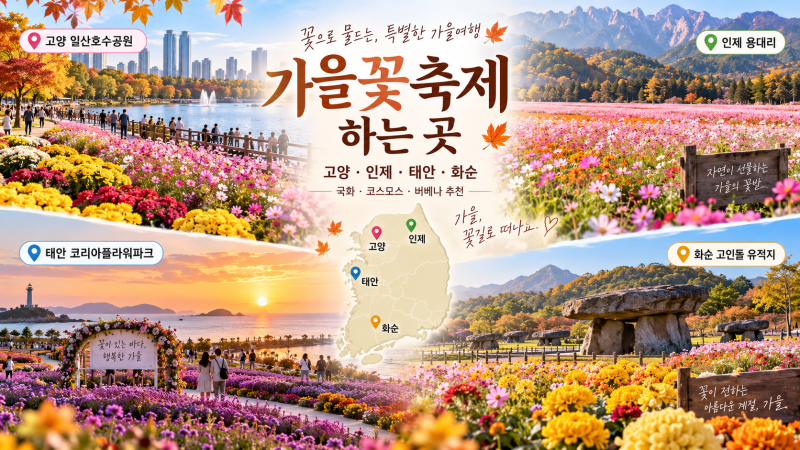 2026 가을꽃축제 일정 완벽 가이드: 인제 가을꽃축제 날짜부터 태안·고양 명소 비교