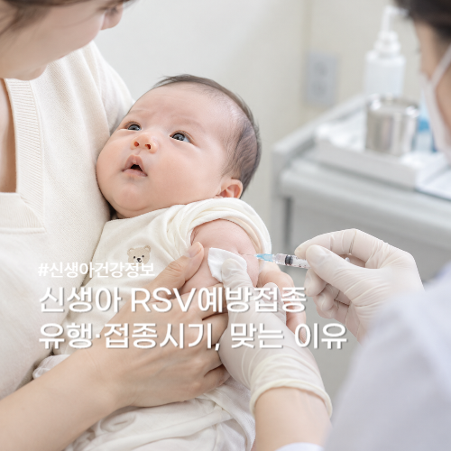 신생아 RSV 예방접종 꼭 맞아야 하나요?접종시기·비용 비싸도 권장하는 이유