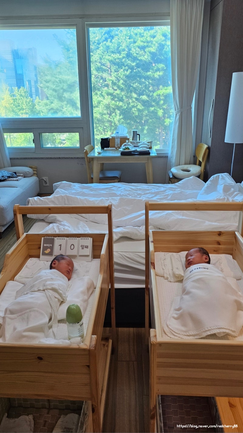 송파 소피아 산후조리원 VIP룸 쌍둥이맘 2주 솔직 후기