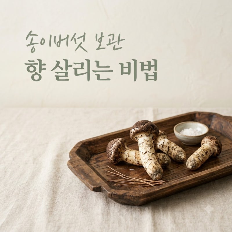 1kg 60만원인데.. 씻었다가 향 다 날린 송이버섯, 1년 내내 향긋한 보관법