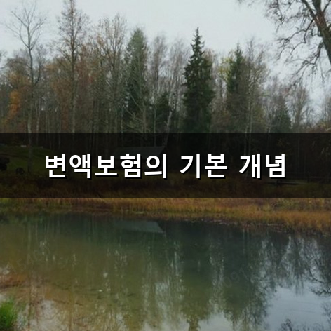 변액보험 가입할 때 수익만 바라보면 왜 후회하게 될까?