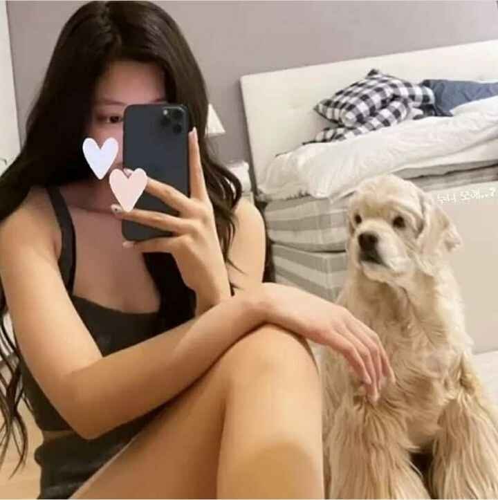 ㅎㄷㄷ한 제니 침대 얼마길래..?