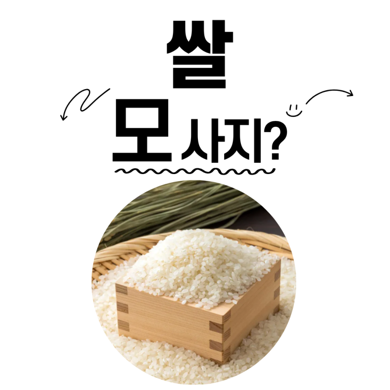 쌀 추천, 맛있는 쌀 고르는 법 4가지 품종부터 도정일자까지