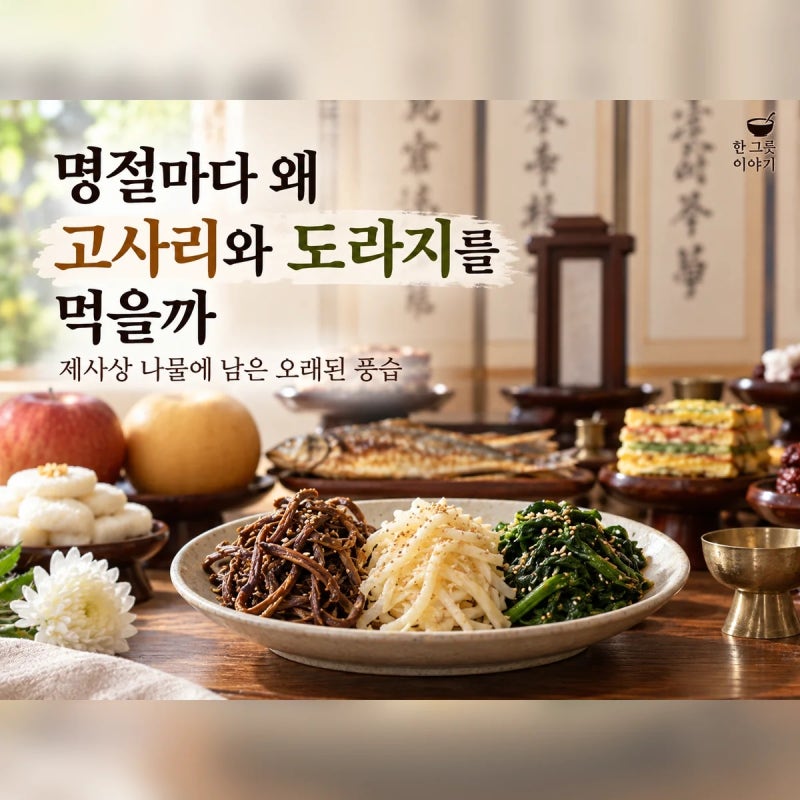 명절마다 왜 고사리와 도라지를 먹을까｜제사상 나물에 남은 오래된 풍습