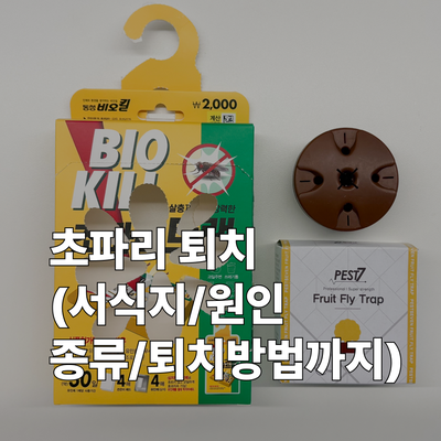 초파리 없애는 법, 원인부터 트랩 만들기·장소별 퇴치까지 한 번에 정리해봤어요