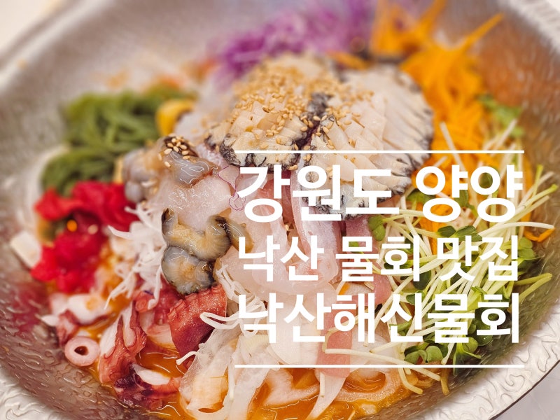 양양 낙산해신물회ㅣ낙산해수욕장 물회 맛집 솔직 후기