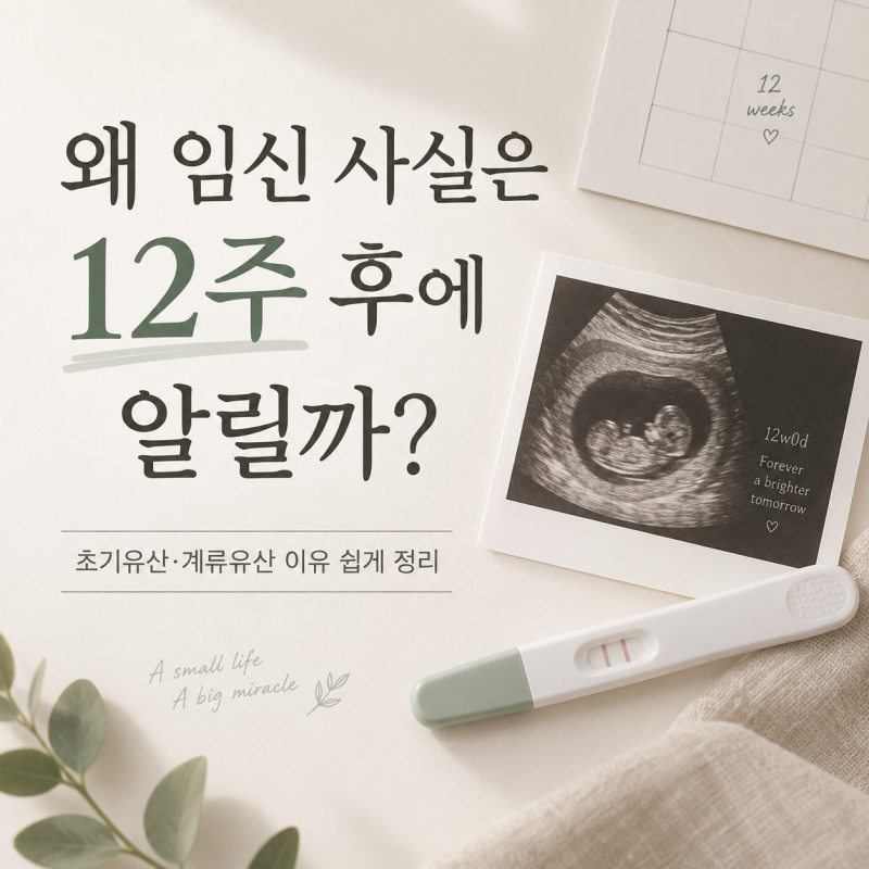왜 임신 사실은 12주 후에 알릴까? 초기유산·계류유산 이유 정리