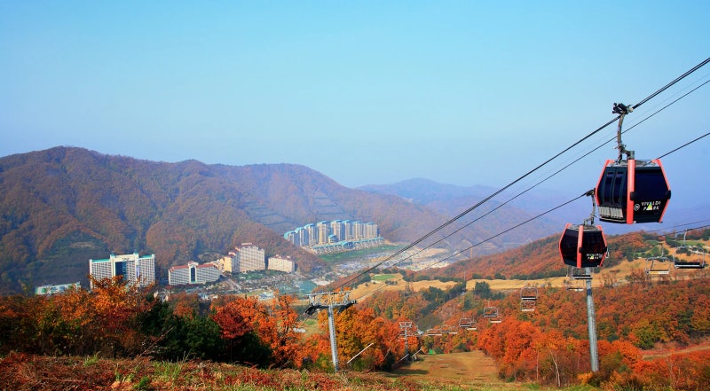 소노벨 비발디파크 B·C동 패밀리 후기 가족 여행 일정 솔직 리뷰