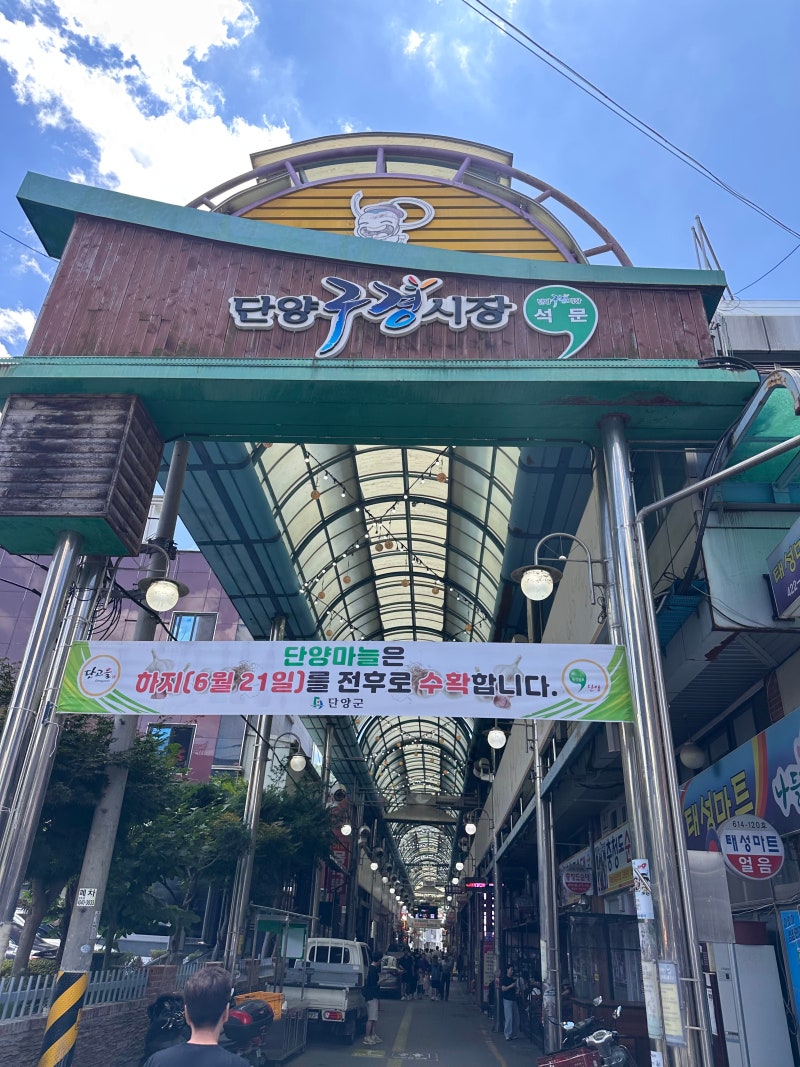 단양구경시장 후기｜단양마늘·먹거리·시식·장날까지 둘러보기