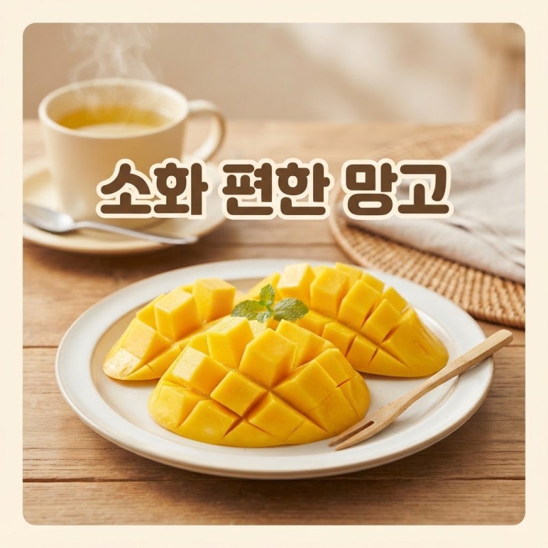"망고만 먹으면 속이 부글부글…" 소화 잘되게 먹는 3가지 꿀팁