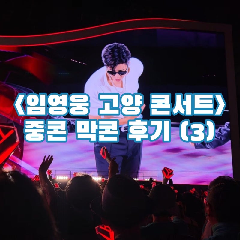 임영웅 고양 콘서트 영상 및 솔직후기, 이틀 연속가도 좋은이유 (3)