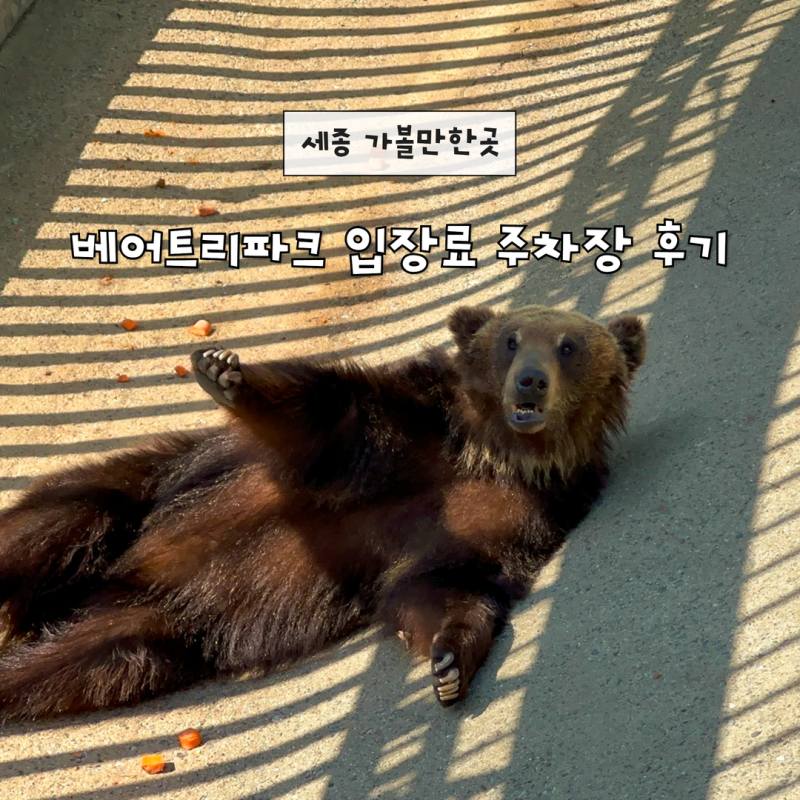 세종 가볼만한곳 베어트리파크 입장료 주차장 후기