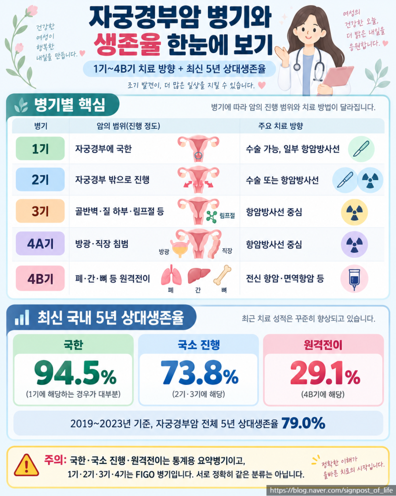자궁경부암 1기·2기·3기·4기병기별 생존율과 치료는 어떻게 달라질까?자궁경부암 시리즈 5....