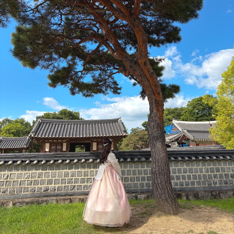 한옥마을 vs 동물원 vs 완산벙커, 9월 추석 전주 가볼만한 가족여행 코스 추천