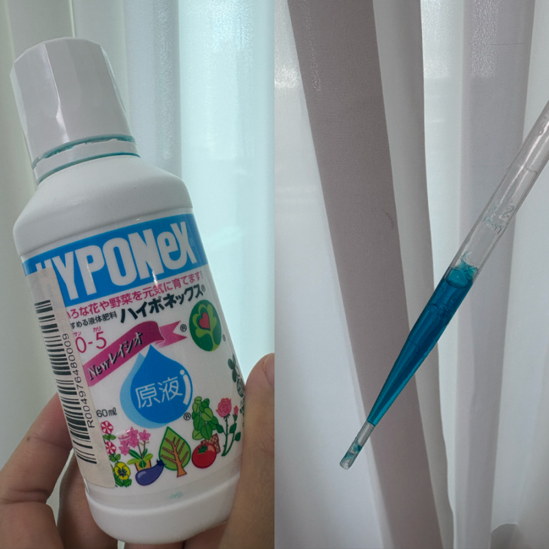 가을 식물 액체비료 주는법 액체비료 하이포넥스 사용법 및 주의사항 (잘못주면 식물 대머리....