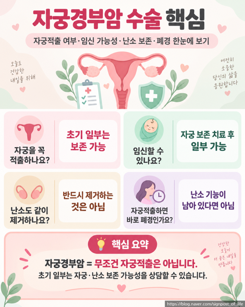 자궁경부암 수술｜자궁적출 꼭 해야 하나요?임신·난소 보존 가능할까? 자궁경부암 시리즈 6....