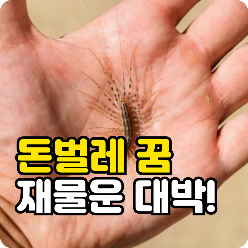 돈벌레 꿈 해몽은 길몽일까? 재물운과 뜻밖의 행운을 부르는 꿈의 의미