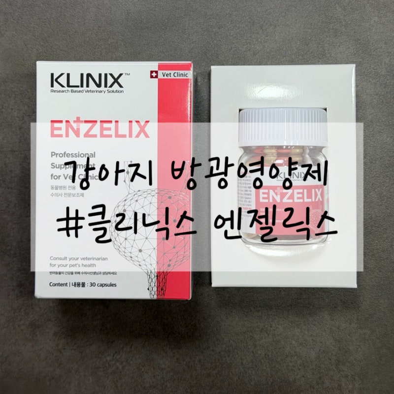 강아지방광영양제 추천 [클리닉스 - 엔젤릭스]