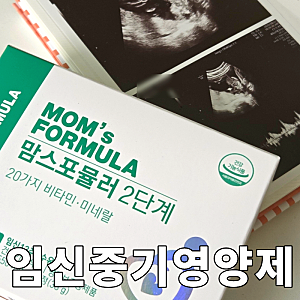 임신중기영양제 맘스포뮬러2단계 (임신17주차 후기)