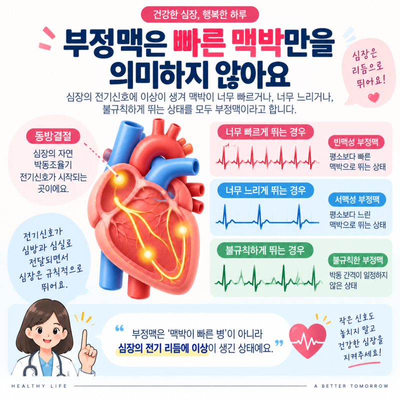 부정맥 증상 두근거림만 있을까? 맥박이 이상할 때 나타나는 신호와 검사