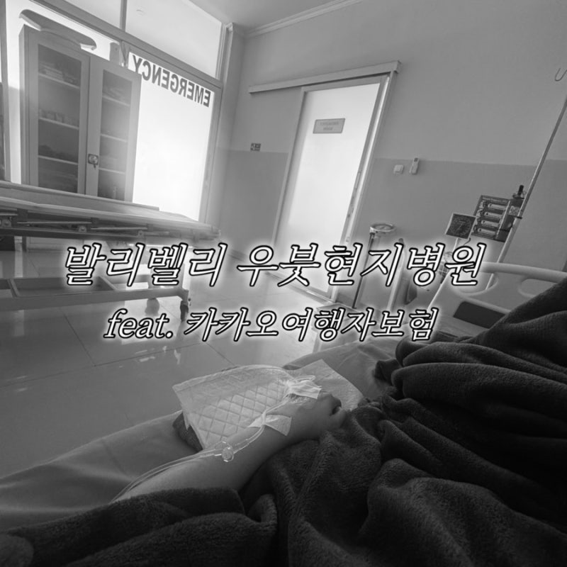 [발리] 발리밸리로 우붓 현지병원 방문+ 아융강래프팅 피부발진 후기 / 카카오여행자보험 꼭 ....