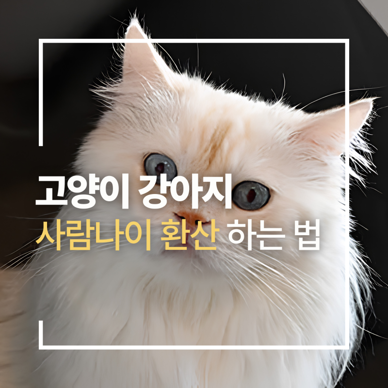 강아지 고양이 사람 나이로 환산하는 방법 강아지 나이 환산표