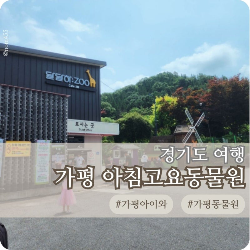 가평 아침고요동물원 아이와 가볼만한곳 즐거운 먹이체험까지