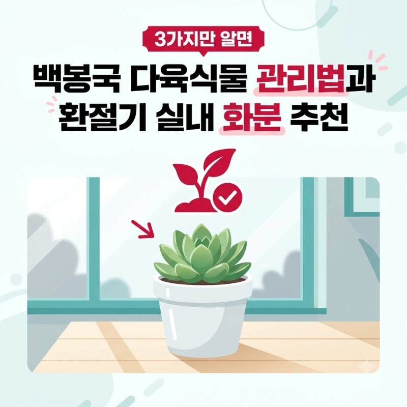 백봉국 다육식물 관리법과 환절기 실내 화분 추천, 계절 바뀔 때 체크할 점