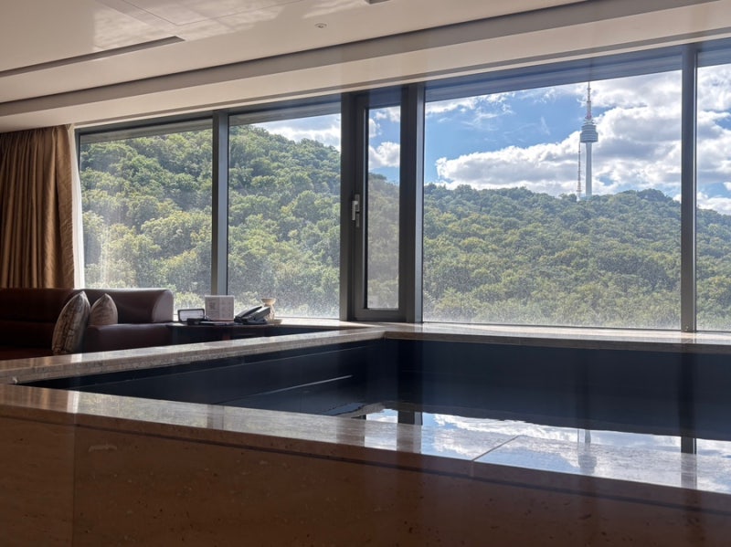 Banyan Tree Seoul Ho-Cance: 2 Nights, 3 Days in a Namsan View Premier Pool Suite - Room View, Stay, and Breakfast Review