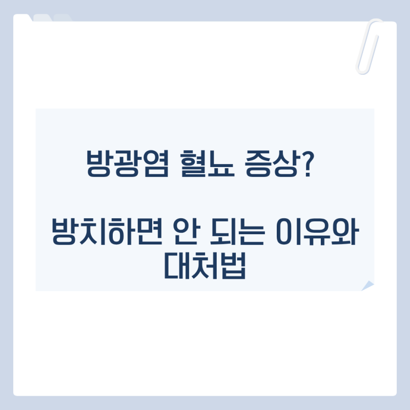 방광염 혈뇨 증상 방치하면 안 되는 이유와 대처법 수유역 산부인과 인근에서 알려드립니다.