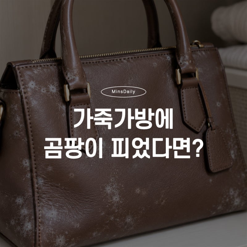 가죽 가방 곰팡이 관리 후기, 세탁소 맡기기 전 꼭 알아야 하는 방법