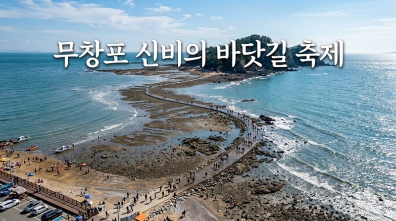 충남 보령 가볼만한곳 무창포 신비의 바닷길 축제 맨손 대하잡이 체험 정보
