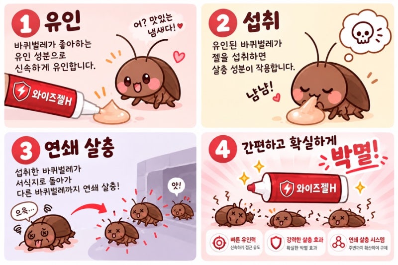 [후기] 바퀴벌레 연쇄 살충 효과 와이즈겔H 사용 후기 바퀴벌레약추천