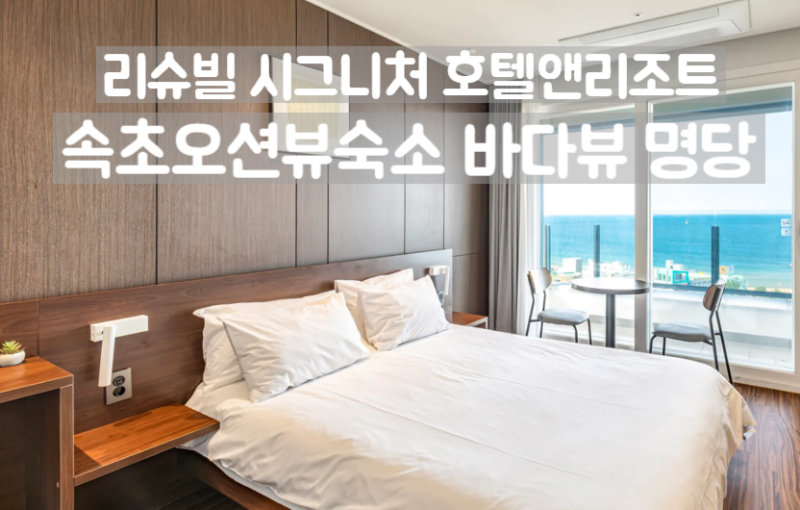 리슈빌 시그니처 호텔앤리조트 속초오션뷰숙소 바다뷰 명당