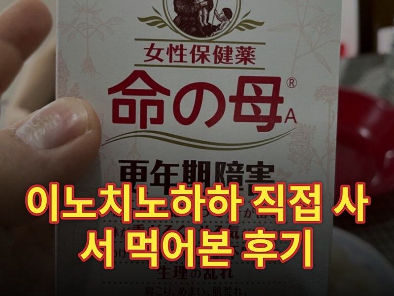 이노치노하하 직접 사서 먹어본 후기 | 빨강·파랑 차이와 부작용 (2026)