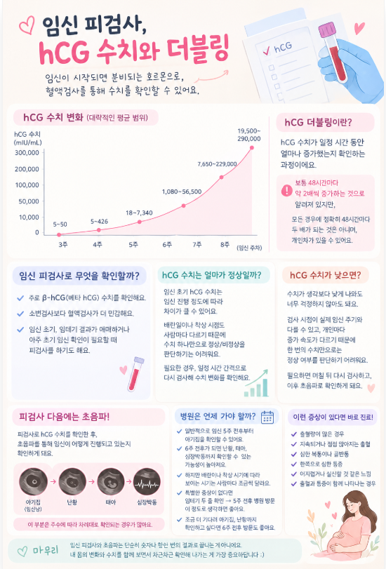 임테기 두 줄 확인했다면? 병원은 언제 가야 할까｜임신 피검사부터 역전,더블링까지
