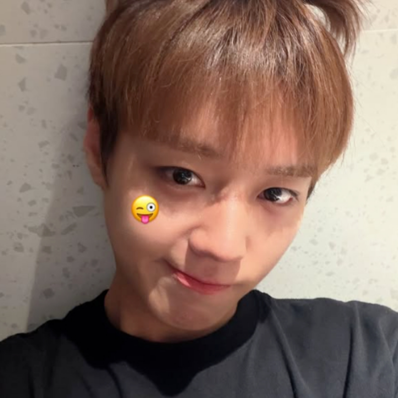 ‘왕사남’·‘취사병’ 다음은… 내일부터 콘서트 여는 박지훈, ‘차기작 스포’ 나올까