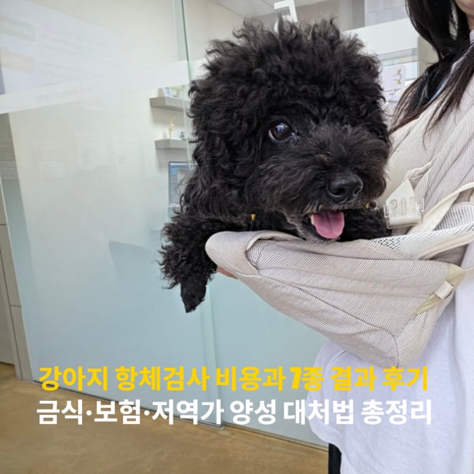 강아지 항체검사 비용과 7종 결과 후기, 금식·보험·저역가 양성 대처법 총정리