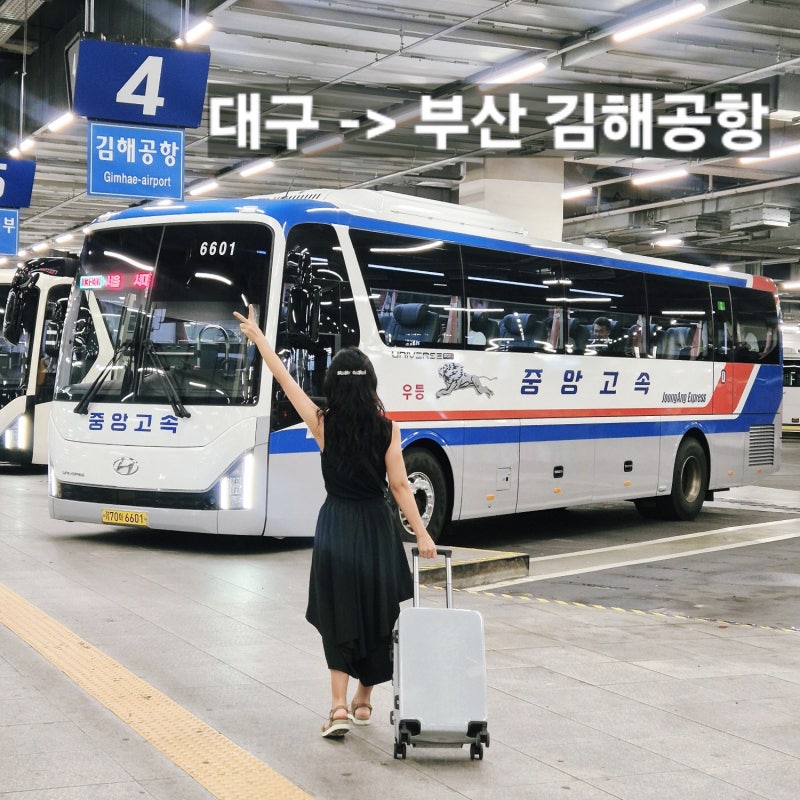 부산 출발 발리 여행 대구에서 김해공항 가는 법- 택시, 콜밴, 공항 리무진버스 가격