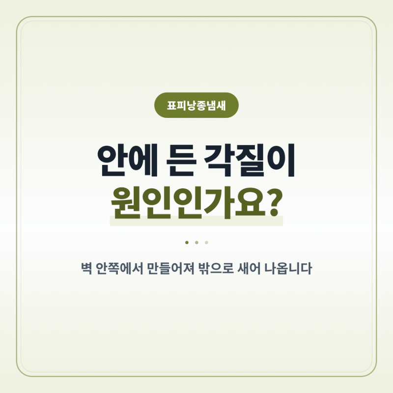 표피낭종냄새 안에 든 각질이 원인인가요?