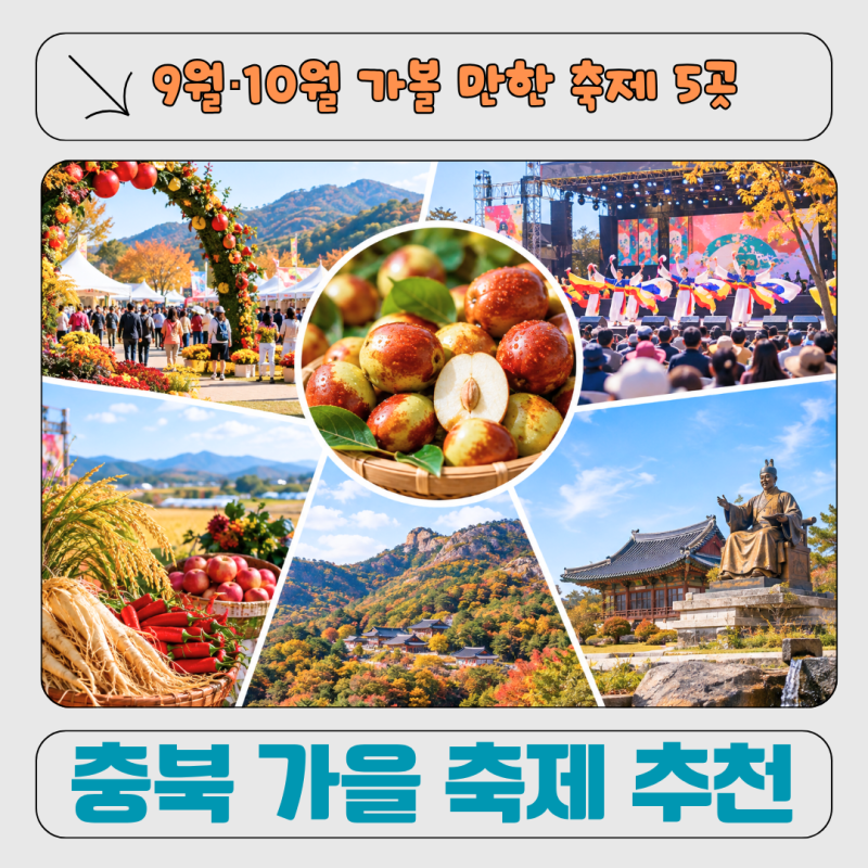 충북 가을 축제 추천｜2026년 9월·10월 가볼만한 충북 축제 5곳