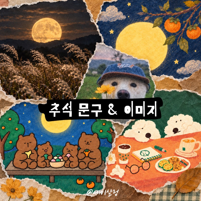 추석 명절 덕담 문구 이미지 모음 센스 있는 한가위 인사말로 사랑받는 법
