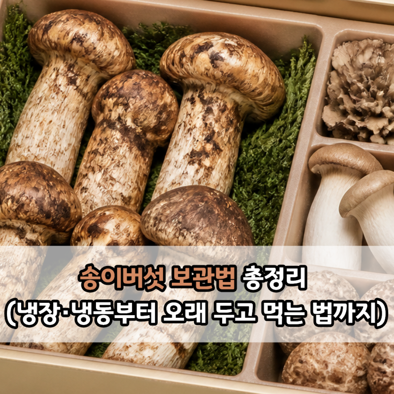 송이버섯 보관법 총정리 (냉장·냉동부터 오래 두고 먹는 법까지)